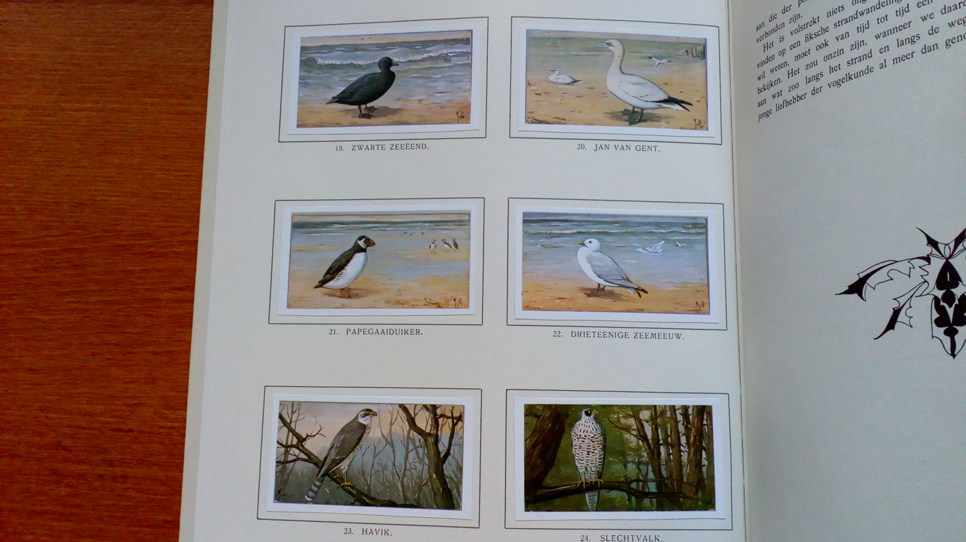 Verkade book birds