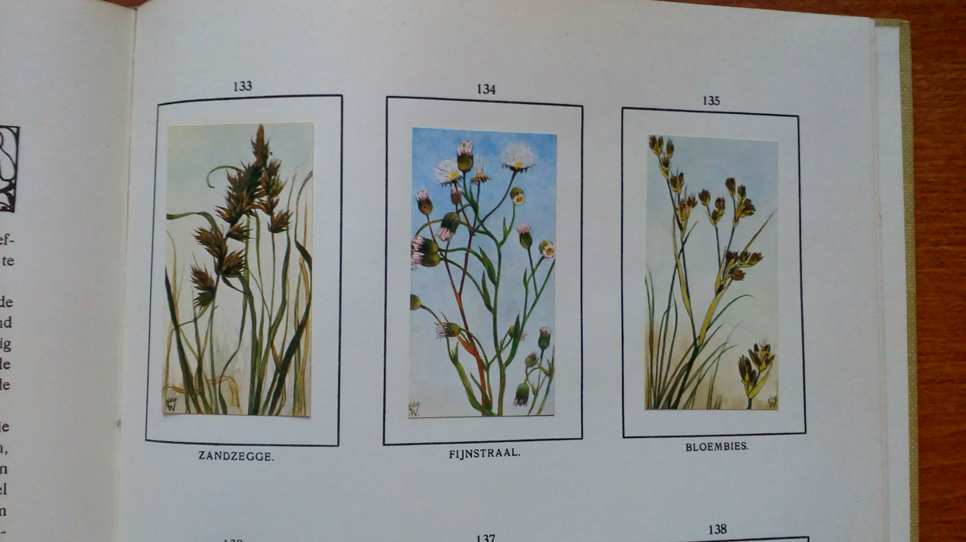 Verkade book flowers