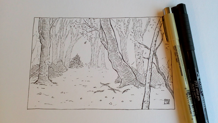 Forest in fall pen illustration 2